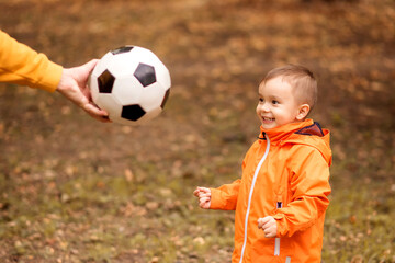 Happy little toddler kid eagerly watching at soccer ball in hand of father. Hand of dad giving to...