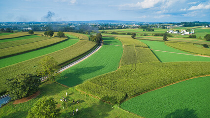 Fototapeta na wymiar Aerial View of Beautiful Farm Lands and Countryside