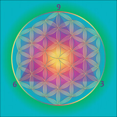 The flower of life embedded with the divine triangle. Tesla magics numbers 3, 6 and 9. Sacred Geometry. Ancient geometric mystic mandala of alchemy esoteric Flower of Life. 