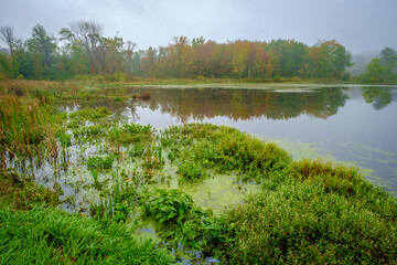 Autumn Lake Morning