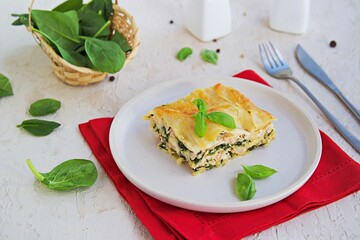Lasagna with salmon and spinach on a clay plate on a light concrete background. Italian food.