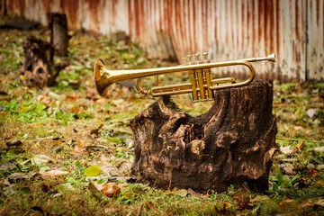 Jazz Trumpet Nature