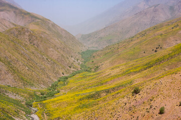 A valley in Zagros mountains with green and yellow plants - obrazy, fototapety, plakaty