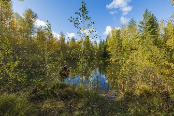 Beautiful view of dark blue lake water with water lilies, and green sedge  with little bird house  on sunny autumn day. Yellow trees and plants around lake on blue sky background. 