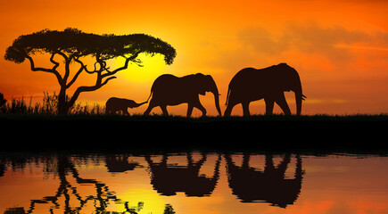 Fototapeta na wymiar family of elephants