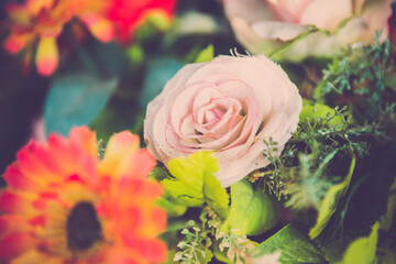 retro roses flowers close up. vintage filtered