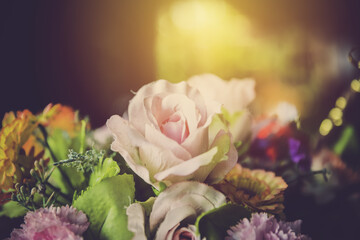 retro roses flowers close up. vintage filtered