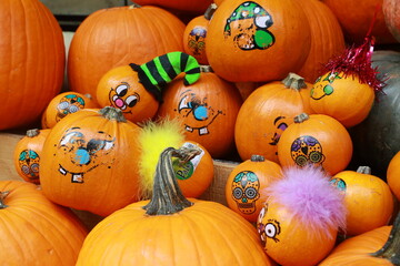 Colorful pumpkins on display at a farmers market