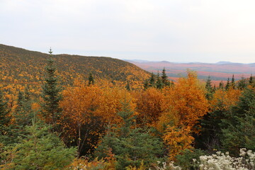 autumn in the mountains