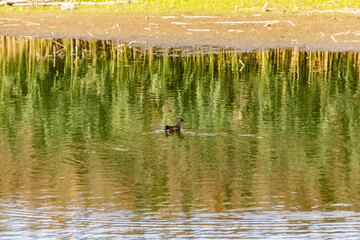 Réserve Naturelle du Haut Geer