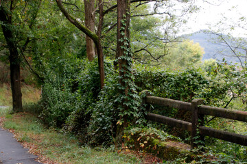 Urban park in an autumn day