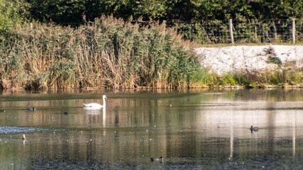 Réserve Naturelle du Haut Geer