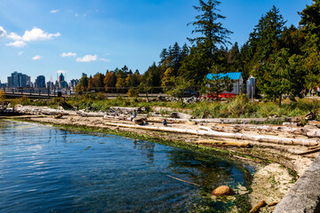 View of Stanley Park in Vancouver, British Columbia, Canada