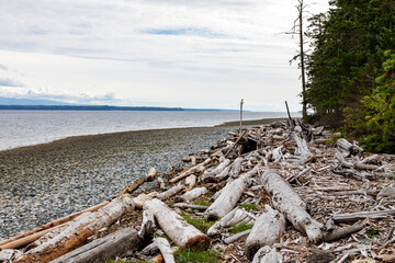 Pile of driftwood at Rebecca Spit Marine Provincial Park, Heriot Bay , British Columbia, Canada
