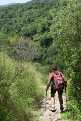 Fototapeta na wymiar Mujer de mediana edad haciendo trekkings en sierras de córdoba camino a una cascada con hermosa vegetación verde alrededor