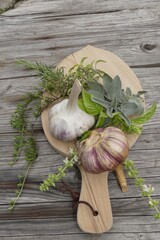 Kräuter und Knoblauch zum Kochen