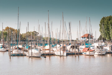 Fototapeta na wymiar sailboats in the port of olivos in buenos aires, argentina