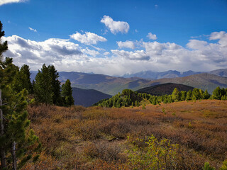Autumn mountain Altai landscape