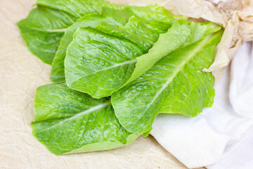 Top view of fresh raw green romaine lettuce leaves for salad on light background.
