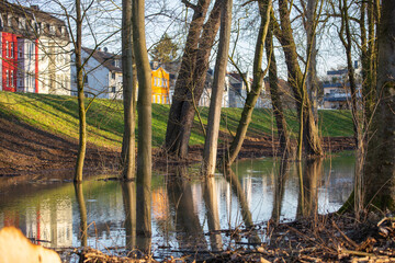 A flooded park during high tide of the river Rhine with reflections of trees in the water and buildings behind the dyke