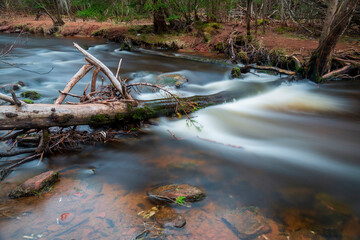 Long exposure photo of a river flowing through the woods, and over a fallen tree