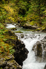 Little Qualicum Falls  - Little Qualicum Falls roar over the rocks on an autumn day