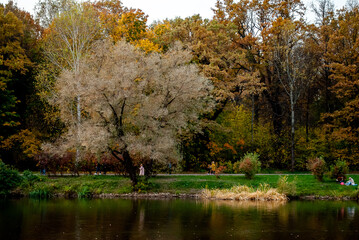autumn in the park