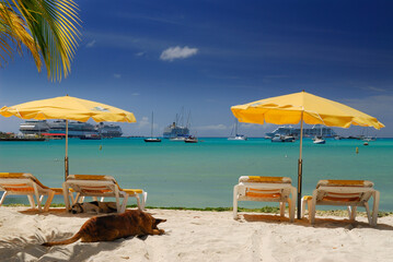Yellow beach umbrellas at Great Bay Philipsburg with sleeping dogs