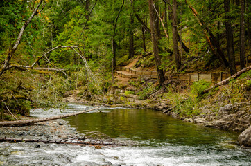Walking along the river - The trails in Little Qualicum Fall Provincial Park follow the river on an autumn afternoon