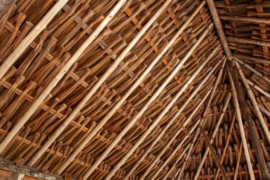 houses with thatched roof typical house of the Pemon Indians of the Gran Sabana Venezuela Latin America