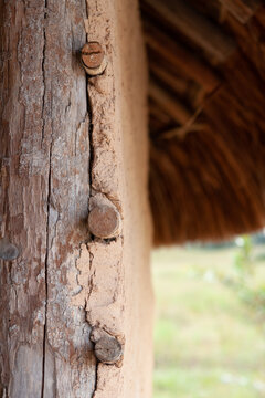 houses with thatched roof typical house of the Pemon Indians of the Gran Sabana Venezuela Latin America