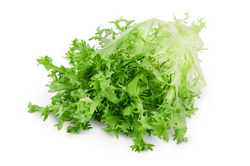 Fresh green leaves of endive frisee chicory salad isolated on white background with clipping path and full depth of field