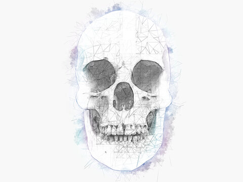 Human skull - water color and technical pencil drawing
