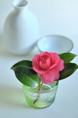 お酒とサザンカ