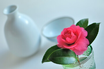 お酒とサザンカ