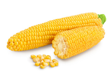 ear of corn isolated on a white background. Clipping path and full depth of field