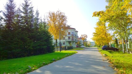 Golden autumn in the city street with yellow tree and spruce. Fall season. Real life. Countryside. Beauty in nature. Beautiful season landscape. Environment. Empty road. Cozy house. Healthy living.