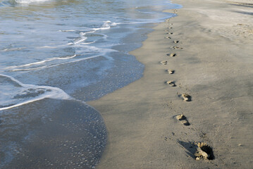 Footprints on the beach in the morning