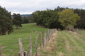 paysage du Bourbonnais