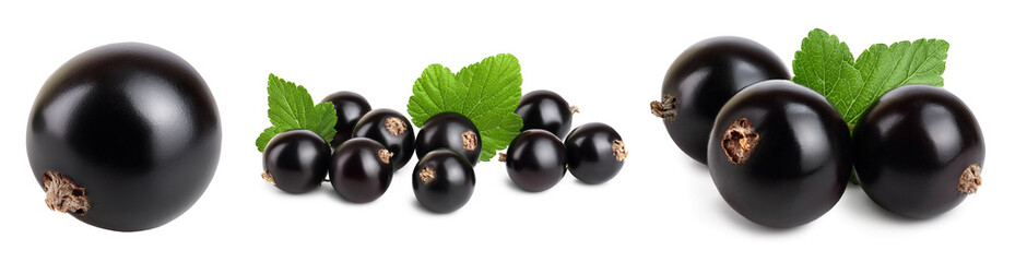 black currant with leaves isolated on white background with clipping path and full depth of field. Set or collection
