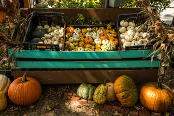 Market Pumpkin Display