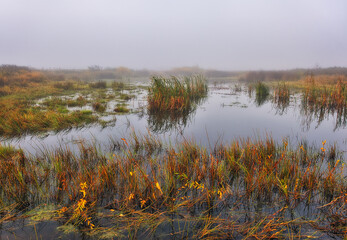 Fog over the river in the early morning on an autumn day