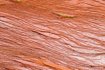 The flat red sandstone has been weathered by winds and ocean currents to reveal a pattern and...