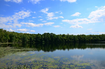 Summer lake