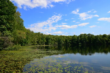 Summer lake