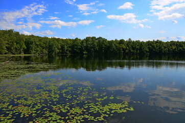 Summer lake