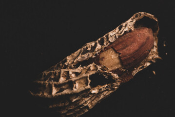 Organic Peanuts macro close up