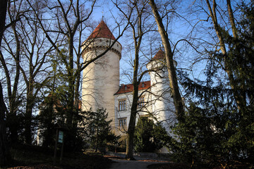 Naklejka premium Konopiste Castle view by winter, Czech Republic