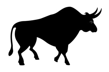 bull