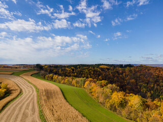 Farmland of corn and grass on a hilltop in the countryside during autumn with a bright blue sky and...